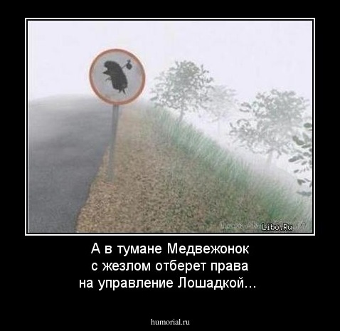 А в тумане Медвежонок с жезлом отберет права на управление Лошадкой...