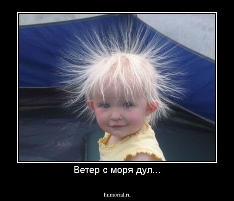 Ветер с моря дул...