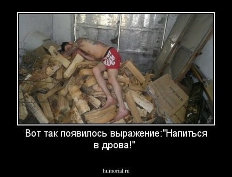 Вот так появилось выражение:"Напиться в дрова!"