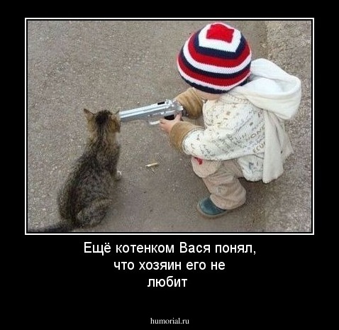 Ещё котенком Вася понял, что хозяин его не любит