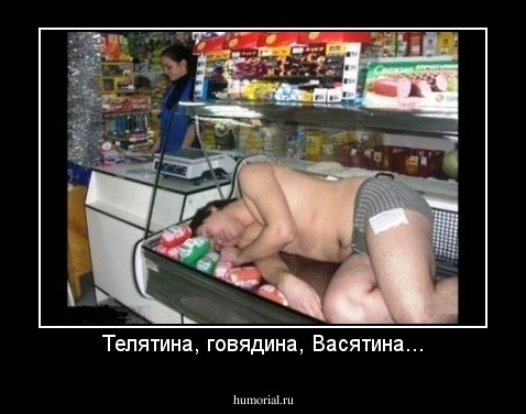Телятина, говядина, Васятина...