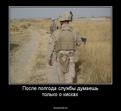 После полгода службы думаешь только о кисках