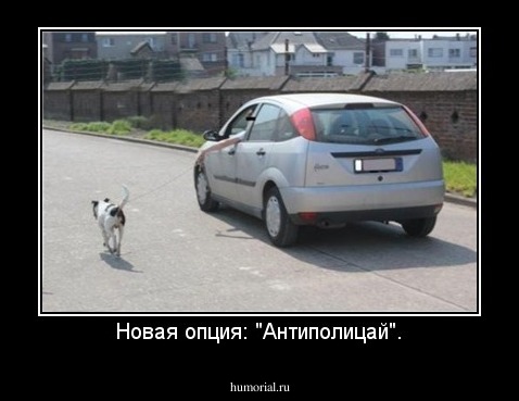 Новая опция: "Антиполицай".