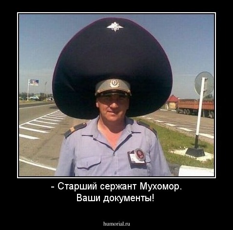 - Старший сержант Мухомор. Ваши документы!