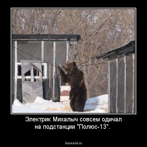 Электрик Михалыч совсем одичал на подстанции "Полюс-13".