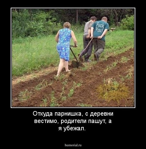 Откуда парнишка, с деревни вестимо, родители пашут, а я убежал.