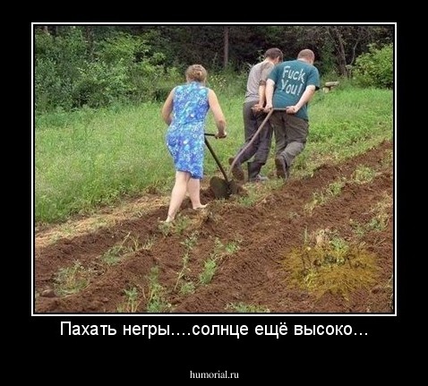 Пахать негры....солнце ещё высоко...