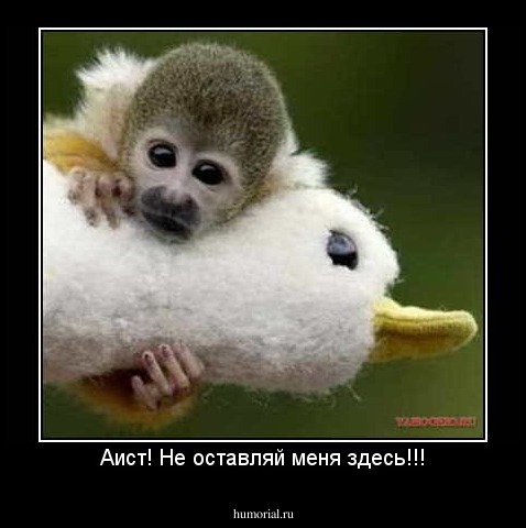 Аист! Не оставляй меня здесь!!!