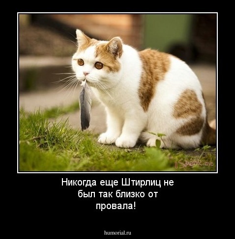 Никогда еще Штирлиц не был так близко от провала!
