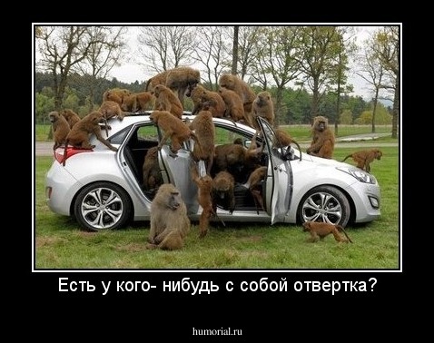 Есть у кого- нибудь с собой отвертка?