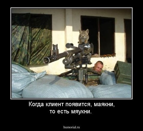 Когда клиент появится, маякни, то есть мяукни.