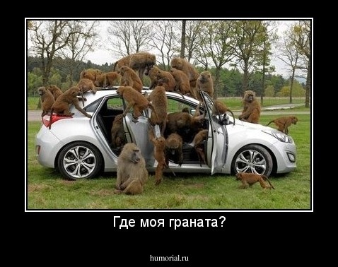 Где моя граната?