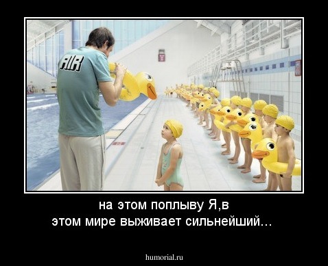 на этом поплыву Я,в этом мире выживает сильнейший...