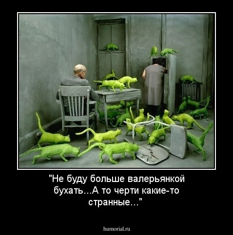 "Не буду больше валерьянкой бухать...А то черти какие-то странные..."