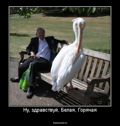 Ну, здравствуй, Белая, Горячая