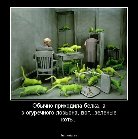 Обычно приходила белка, а с огуречного лосьона, вот...зеленые коты.