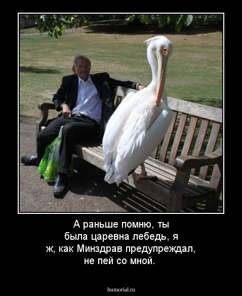 А раньше помню, ты была царевна лебедь, я ж, как Минздрав предупреждал, не пей со мной.