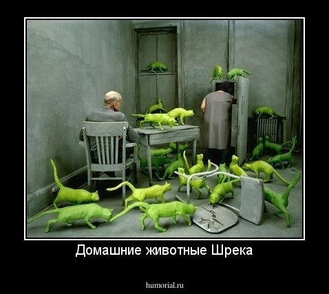 Домашние животные Шрека