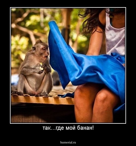 так...где мой банан!