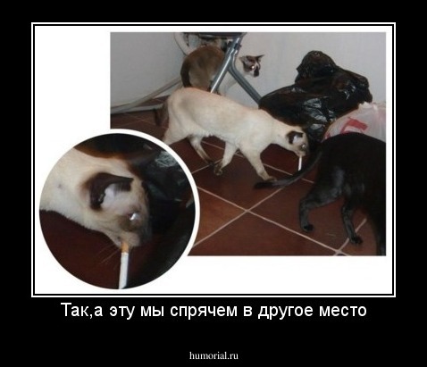 Так,а эту мы спрячем в другое место