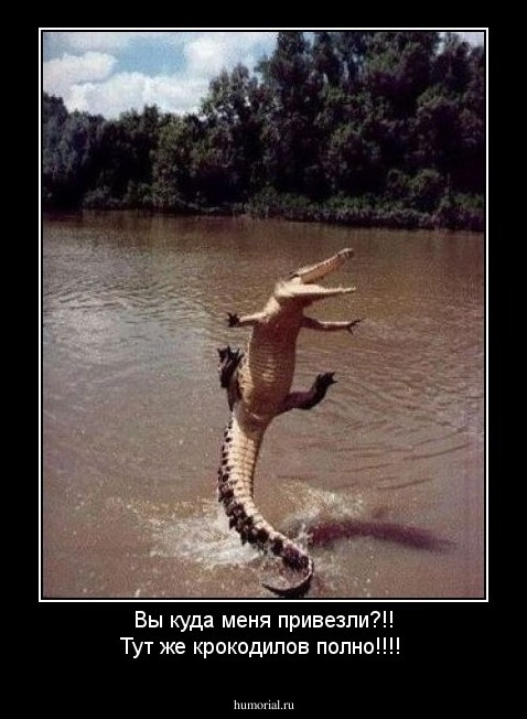 Вы куда меня привезли?!! Тут же крокодилов полно!!!!