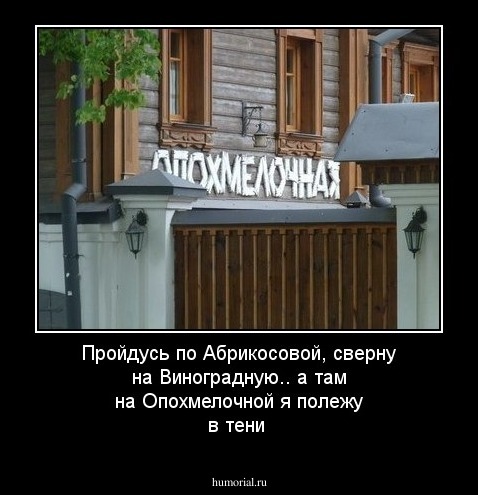 Пройдусь по Абрикосовой, сверну на Виноградную.. а там на Опохмелочной я полежу в тени