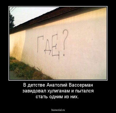 В детстве Анатолий Вассерман завидовал  хулиганам и пытался стать одним из них.  