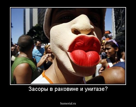 Засоры в раковине и унитазе?