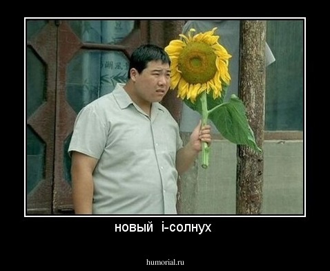 новый  i-солнух 
