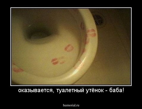 оказывается, туалетный утёнок - баба!