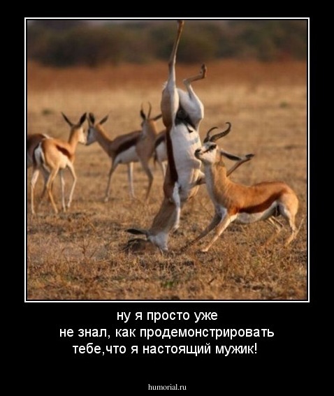 ну я просто уже не знал, как продемонстрировать тебе,что я настоящий мужик!