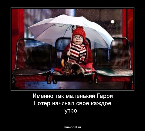Именно так маленький Гарри Потер начинал свое каждое утро.