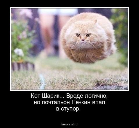 Кот Шарик... Вроде логично, но почтальон Печкин впал в ступор. 