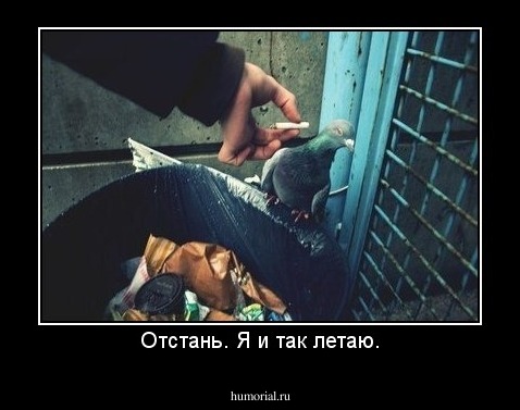 Отстань. Я и так летаю.
