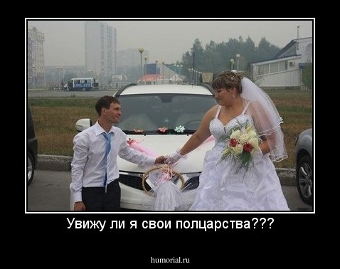Увижу ли я свои полцарства???