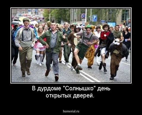 В дурдоме "Солнышко" день открытых дверей.