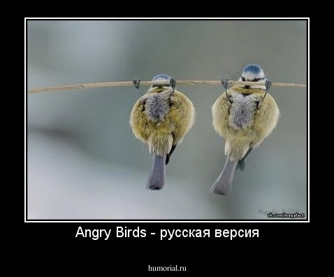 Angry Birds - русская версия