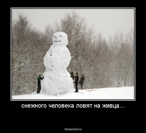 снежного человека ловят на живца...
