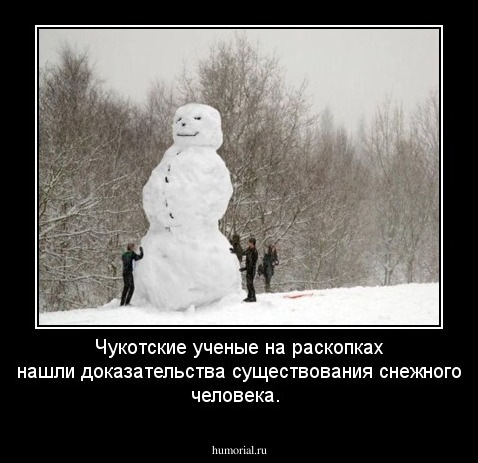 Чукотские ученые на раскопках нашли доказательства существования снежного человека.