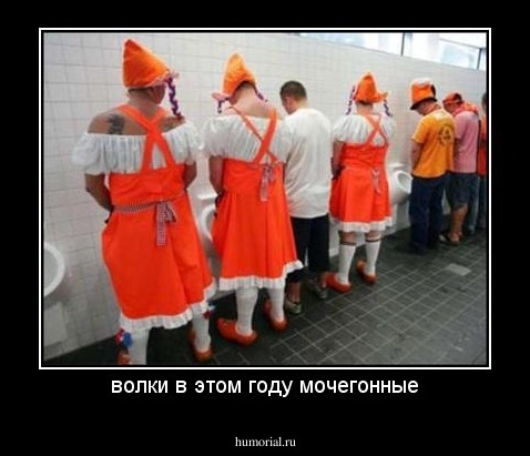 волки в этом году мочегонные