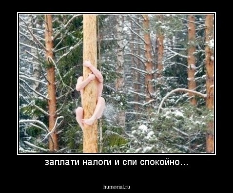 заплати налоги и спи спокойно...