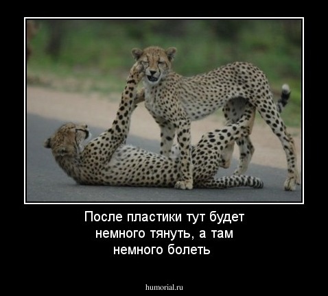 После пластики тут будет немного тянуть, а там немного болеть