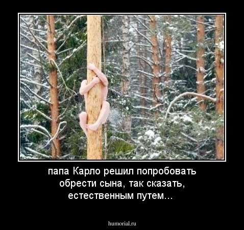 папа Карло решил попробовать обрести сына, так сказать, естественным путем...