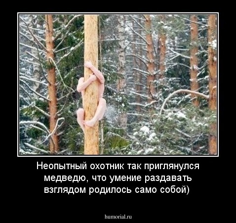Неопытный охотник так приглянулся медведю, что умение раздавать взглядом родилось само собой)