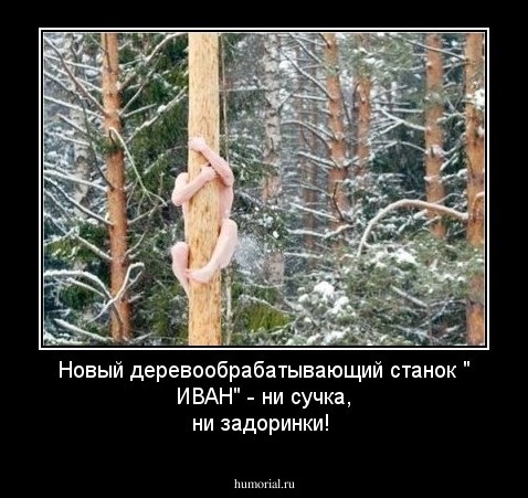 Новый деревообрабатывающий станок " ИВАН" - ни сучка, ни задоринки!