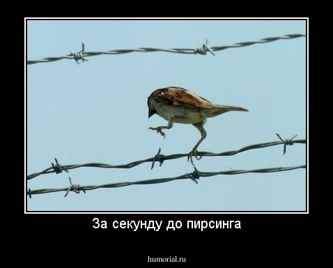 За секунду до пирсинга
