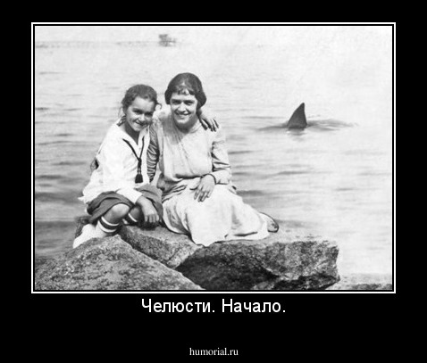 Челюсти. Начало.
