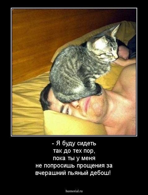 - Я буду сидеть так до тех пор, пока ты у меня не попросишь прощения за вчерашний пьяный дебош!