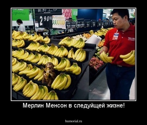 Мерлин Менсон в следуйщей жизне!