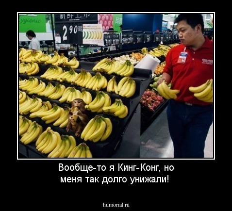Вообще-то я Кинг-Конг, но меня так долго унижали!